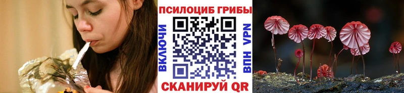 продажа наркотиков  Брянск  Псилоцибиновые грибы MAGIC MUSHROOMS 